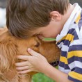 /album/pet-photos/ringwormboy-and-dog-200-jpg1/